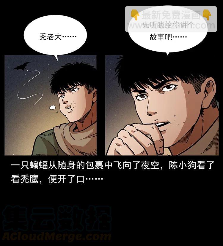 318 沙漠秃鹰52