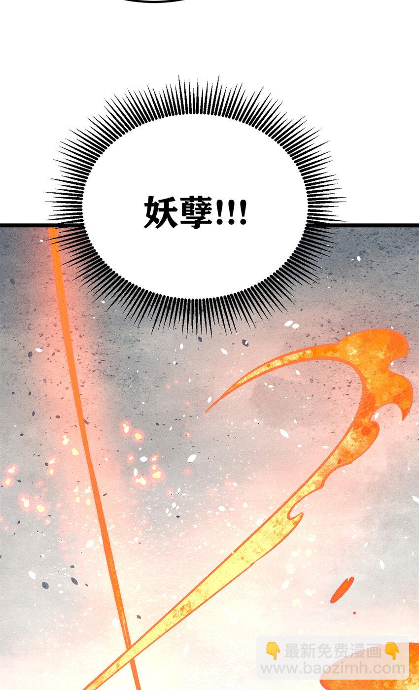 265 大受欢迎19
