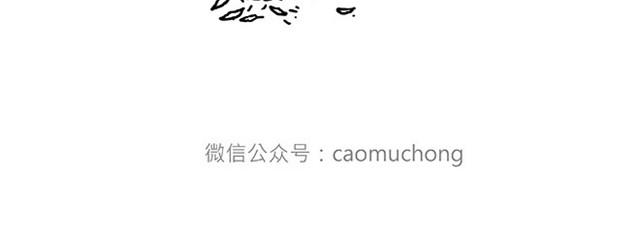 师傅是果粉31