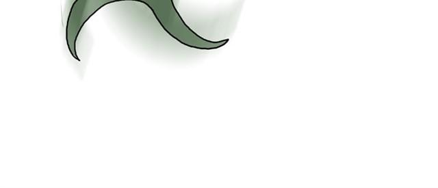 师傅是果粉37