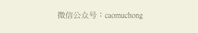 守护师傅婴儿期25