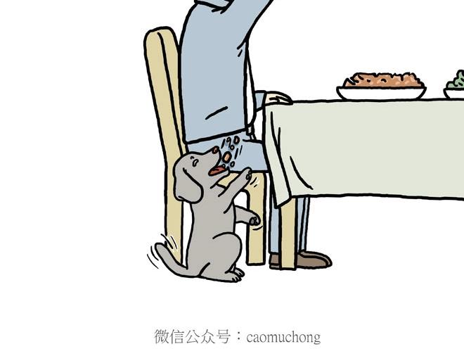 守护师傅婴儿期30