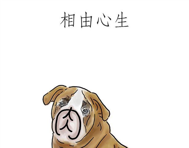 师傅直升机12