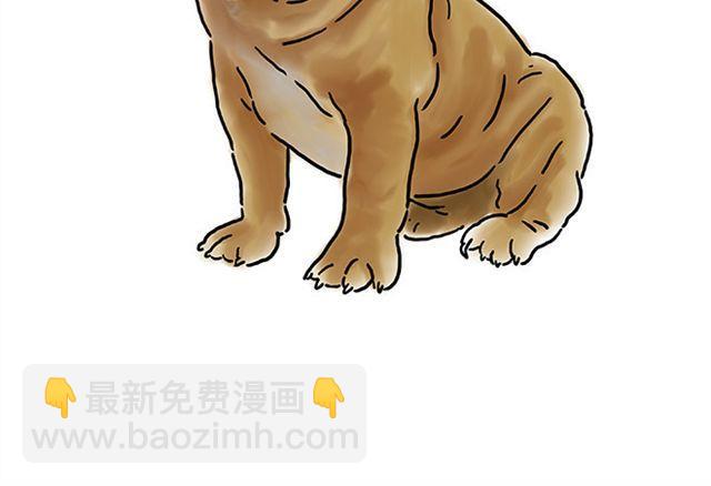 师傅直升机13