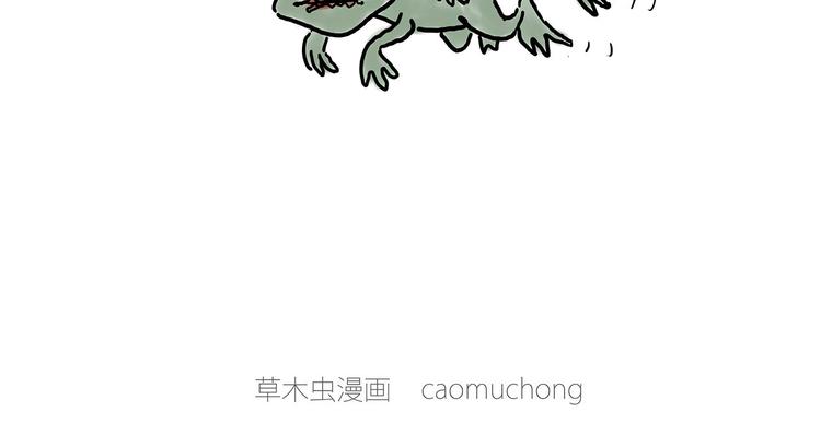 四小天鹅18