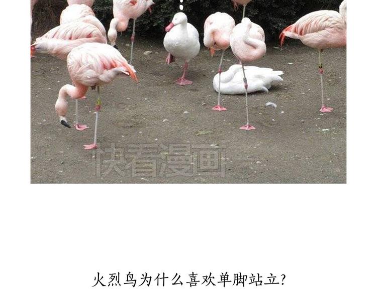 斗舞16