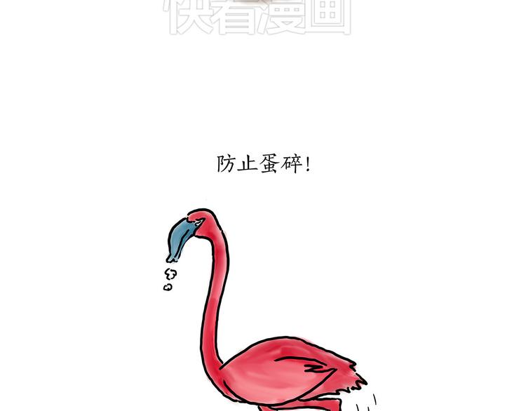 斗舞18