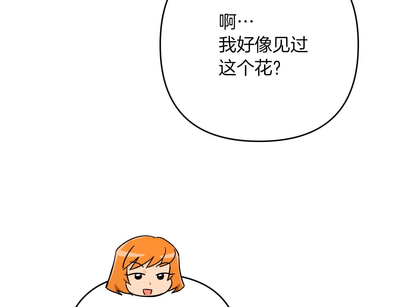 第58话 风信子树精147