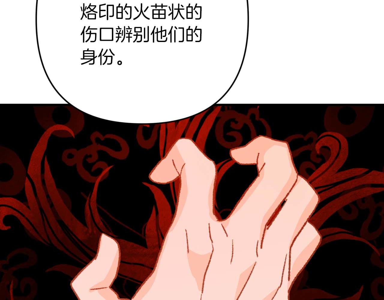 第58话 风信子树精16