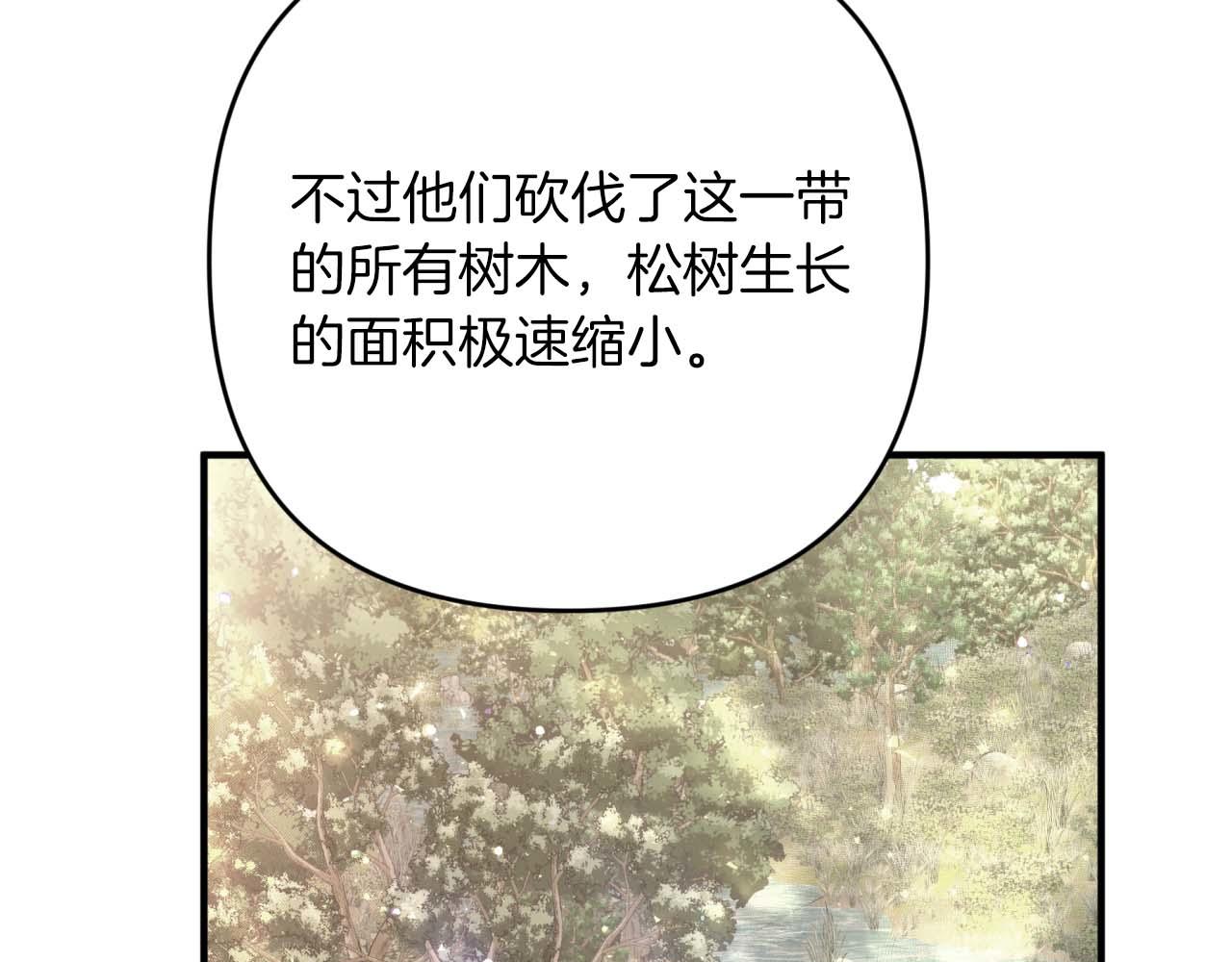 第58话 风信子树精196
