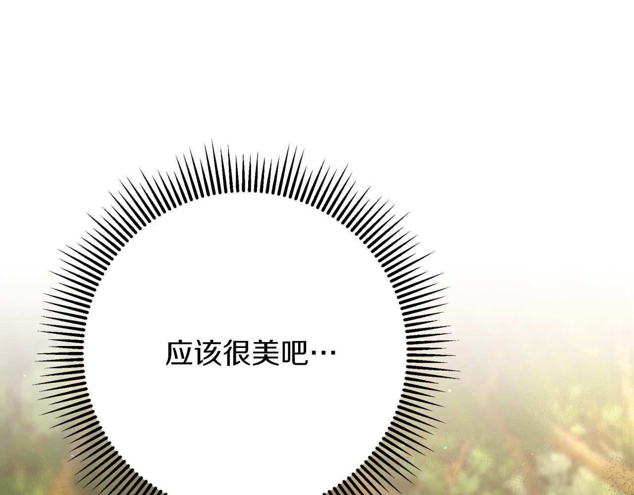 第58话 风信子树精222