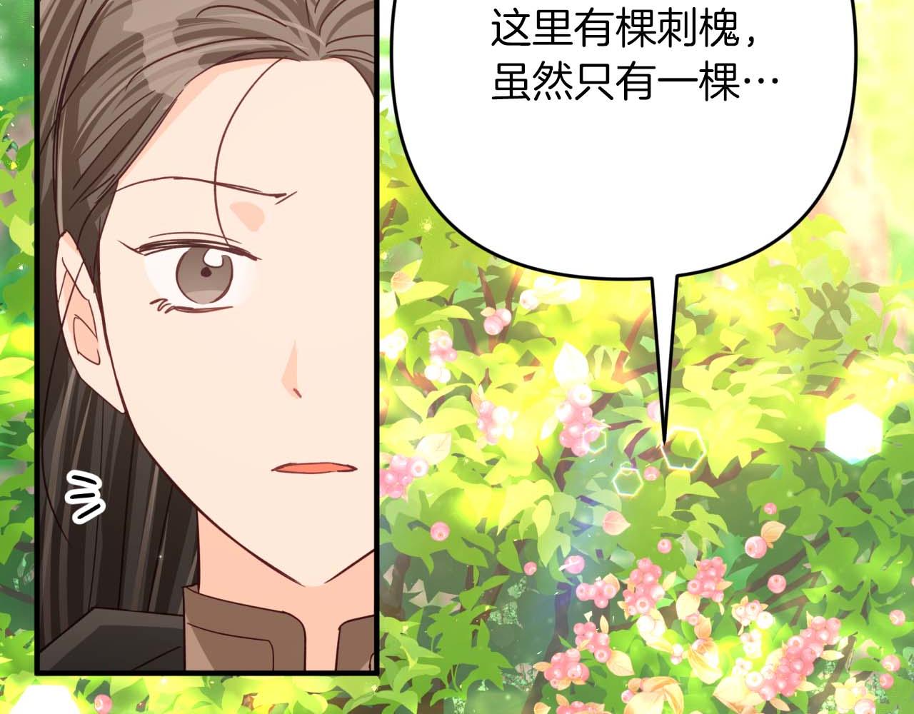 第58话 风信子树精26