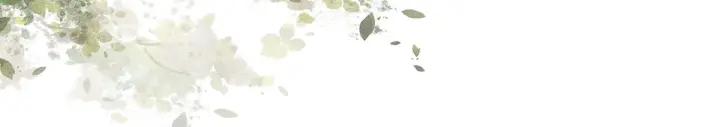 第157话 十全大补汤20