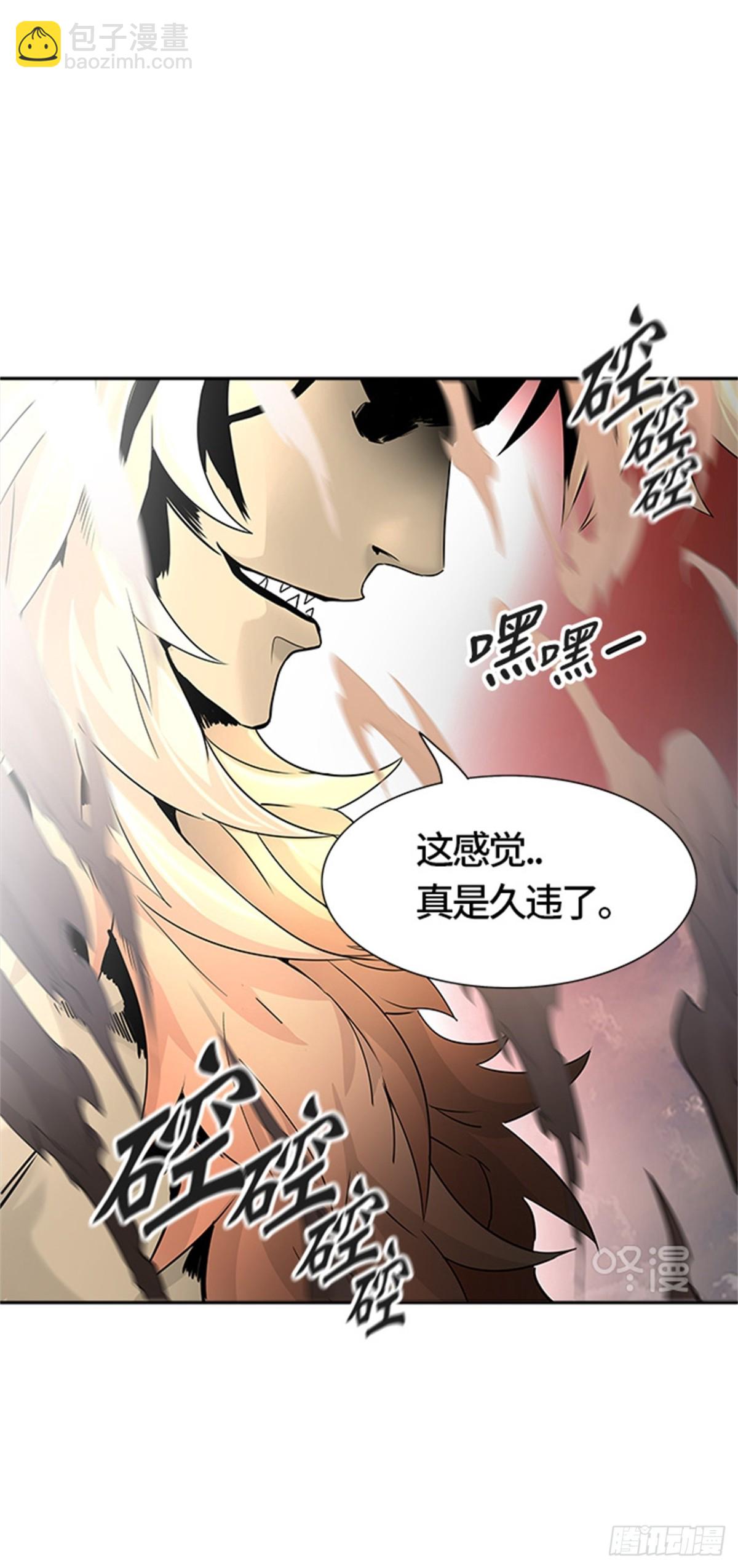 446.拟态95