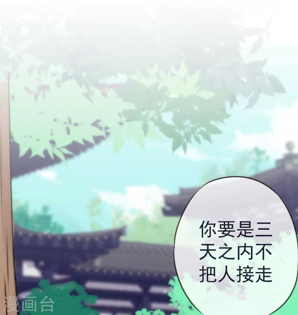 第204话 不见棺材不掉泪5