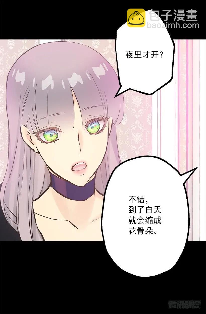 197.夜里才开的花10