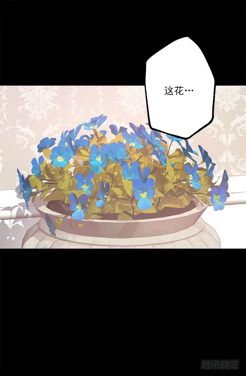 197.夜里才开的花7