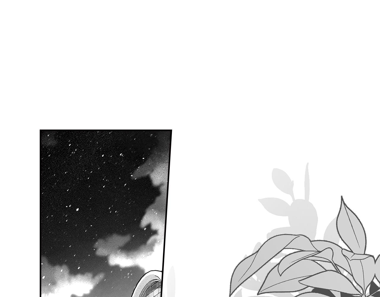 第41话 坦白心意0