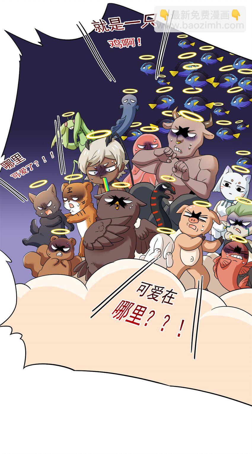 227 我是公鸡，可爱火鸟14