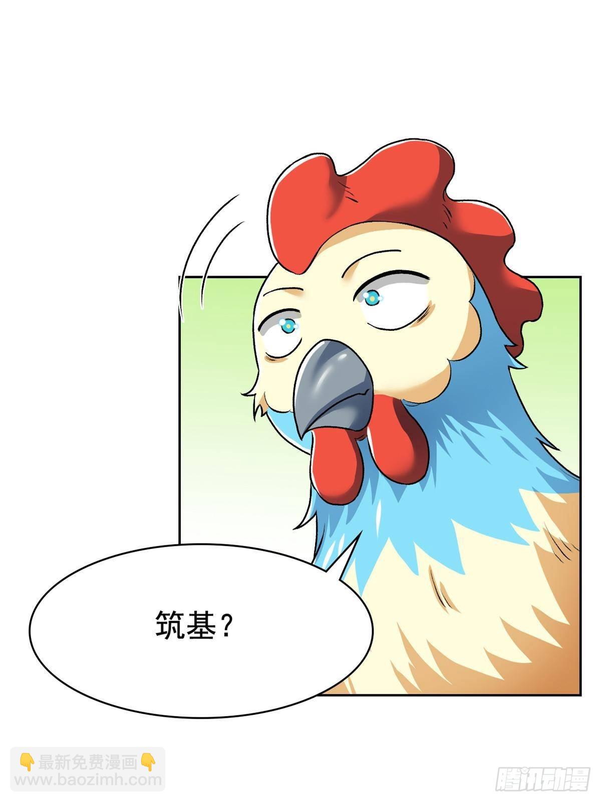 274 公鸡公鸡，你好香啊~24