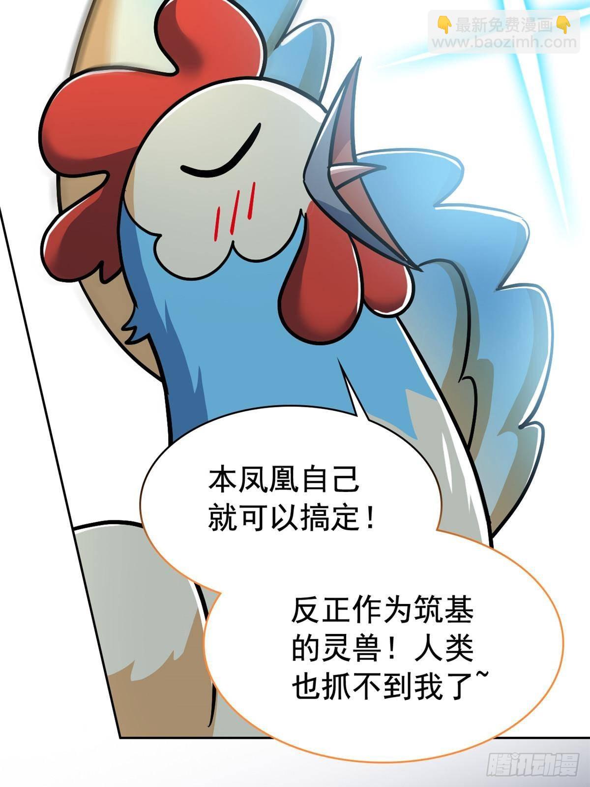 274 公鸡公鸡，你好香啊~64