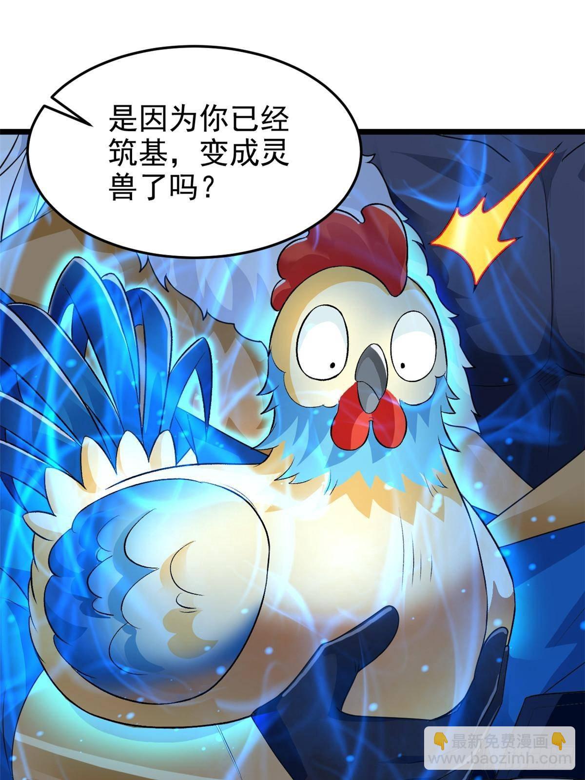 275 公鸡告状，渡珠给鸡22