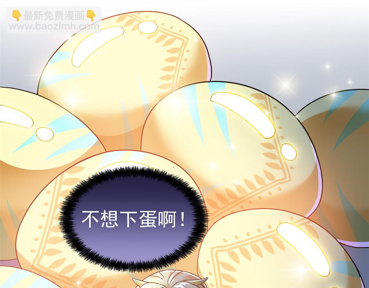311 还会下蛋，还会下蛋97