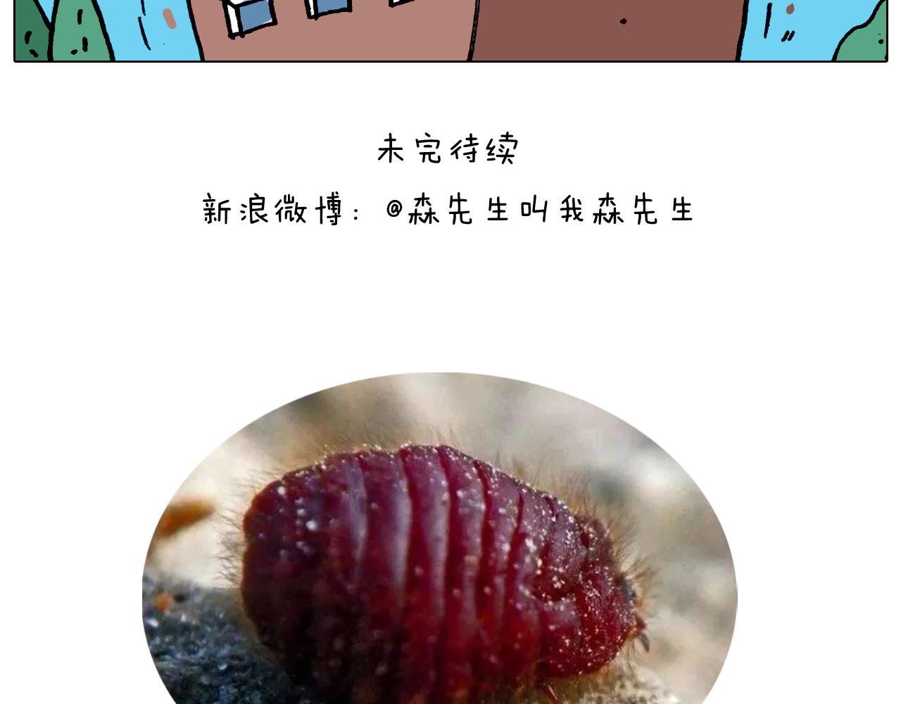 第352话 你还不知道吧51