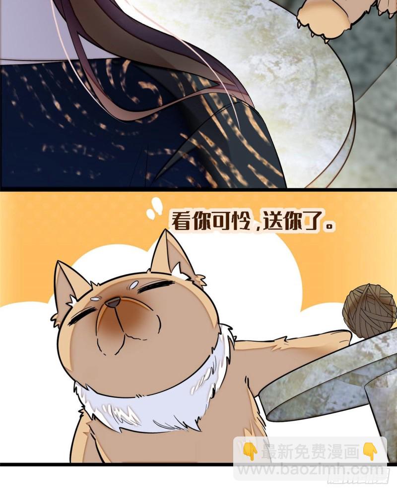 第85话 七皇子的状46