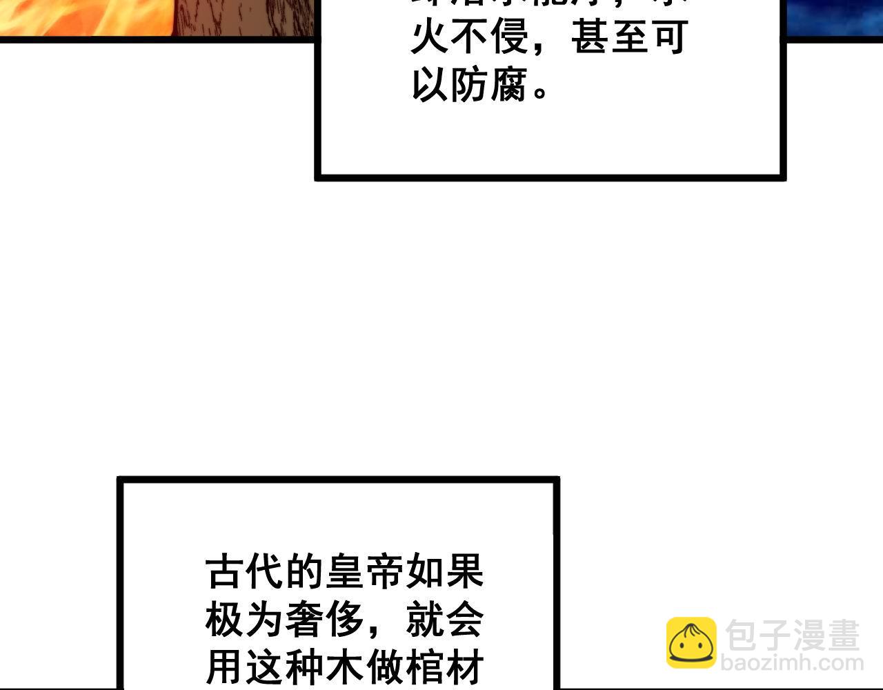 第300话 神木27
