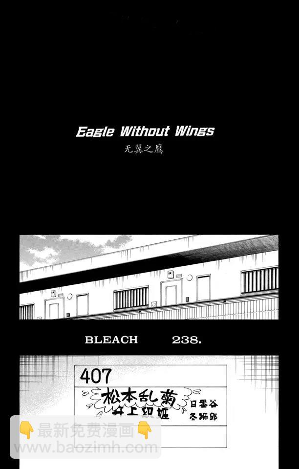 第238话 无翼之鹰3