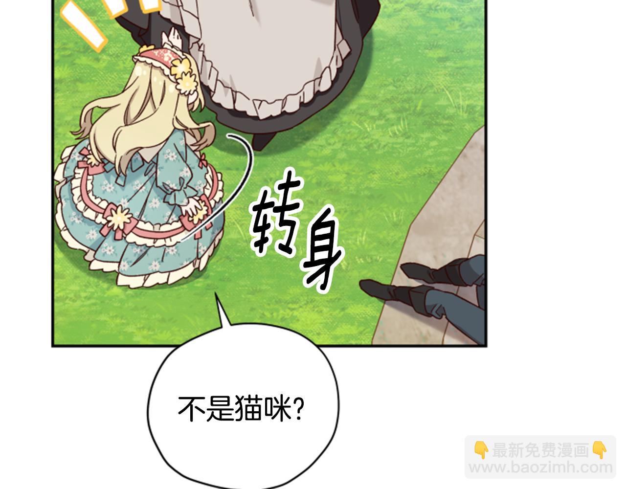 第54话 猫咪朋友16
