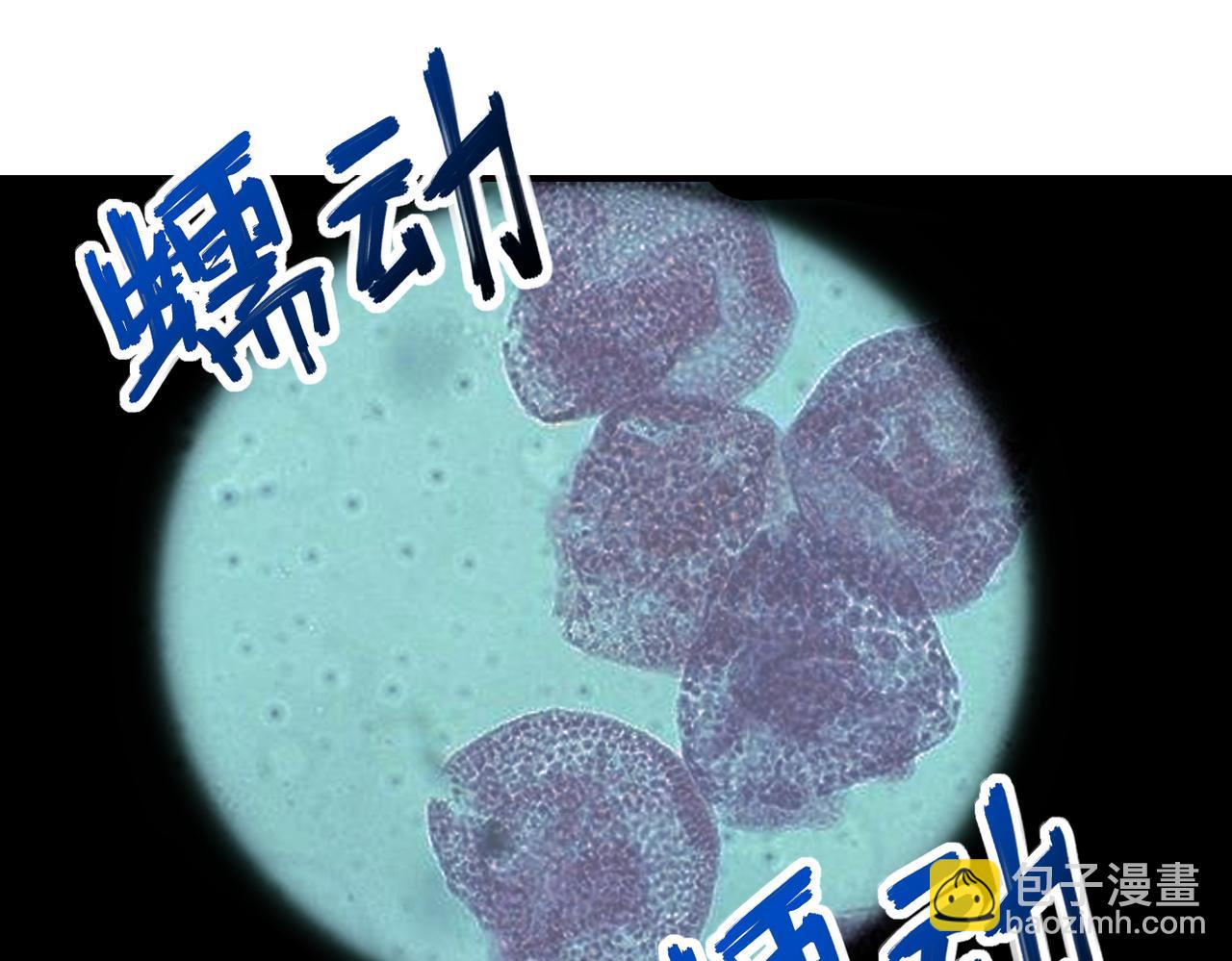 第248话 希望23