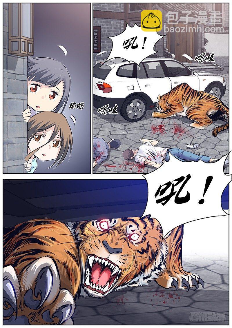 224.大猫5