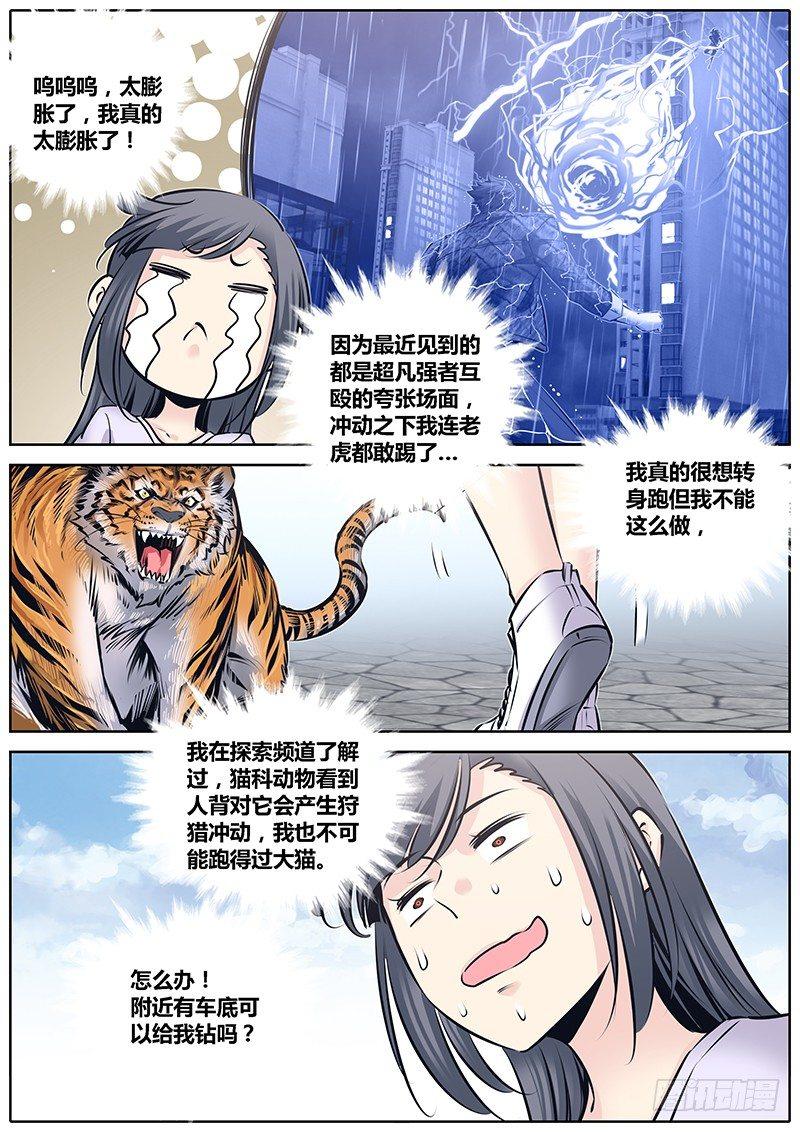 224.大猫9