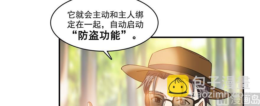 第248话碧玉袈裟的防盗功能25