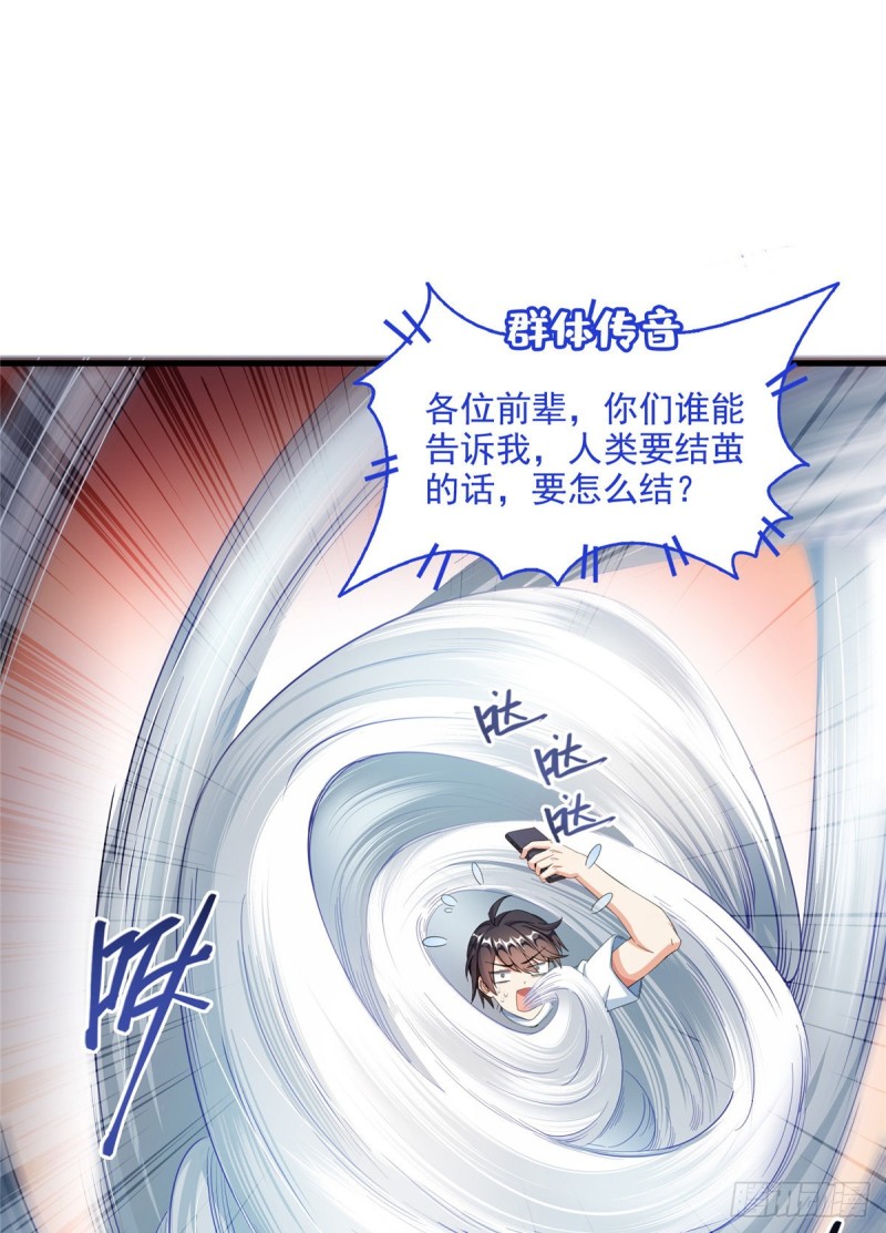 第352话 九州结茧群0