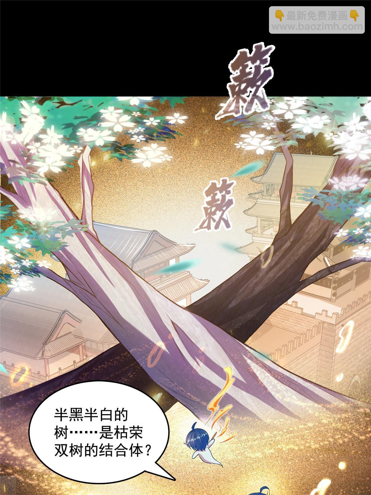 508 七颗金丹，齐了！54