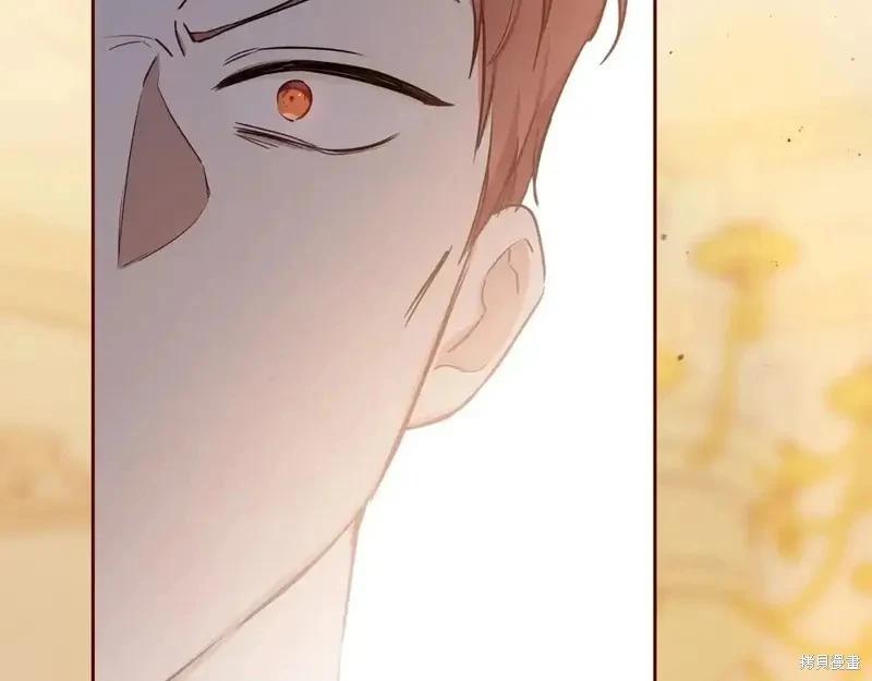 第138话251