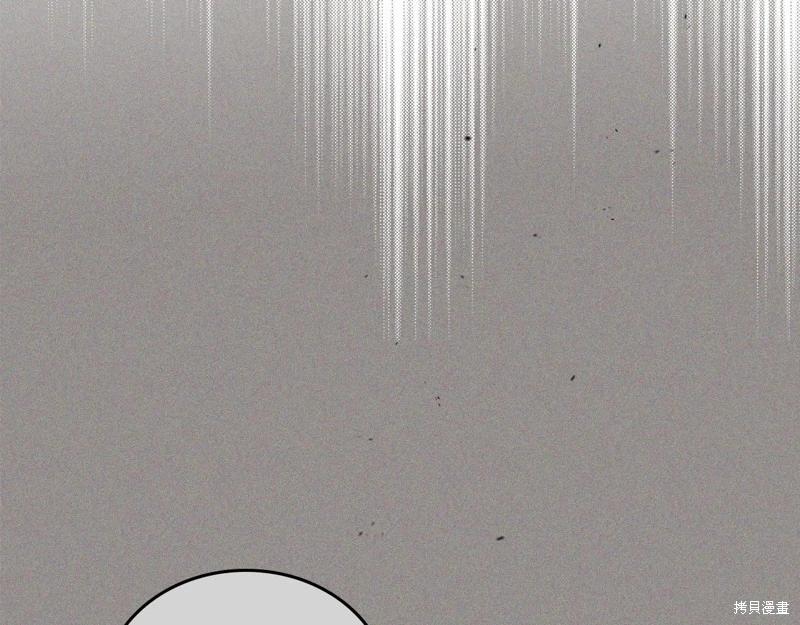第146话206