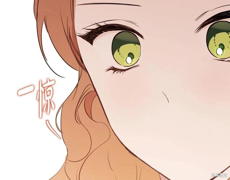 第148话311