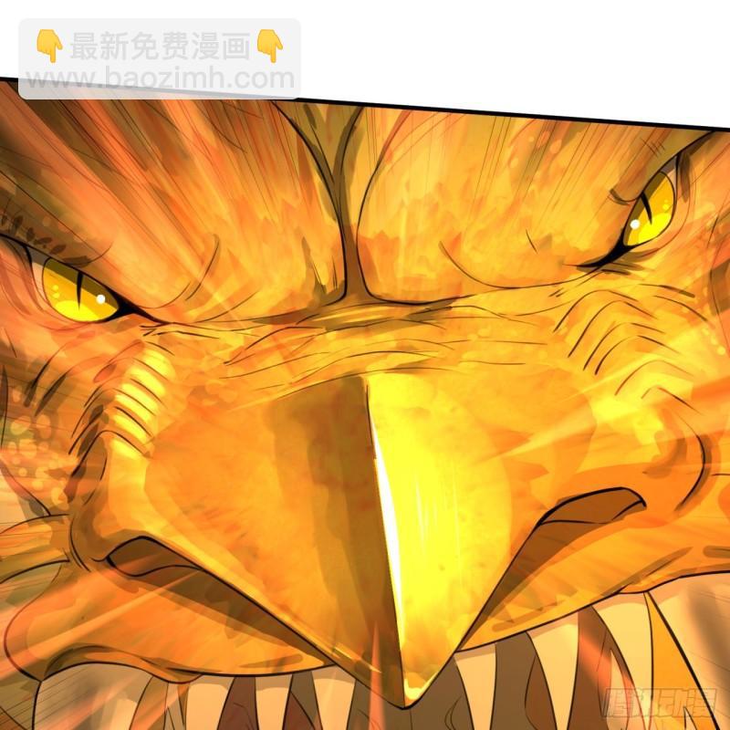 115回 原来是这样，我懂了！56