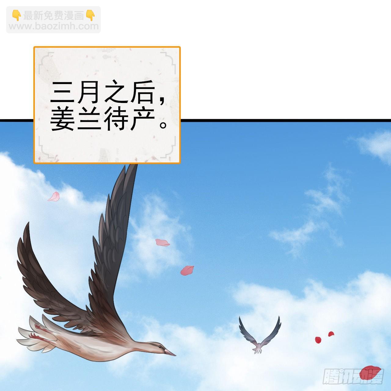 290回 白续香2