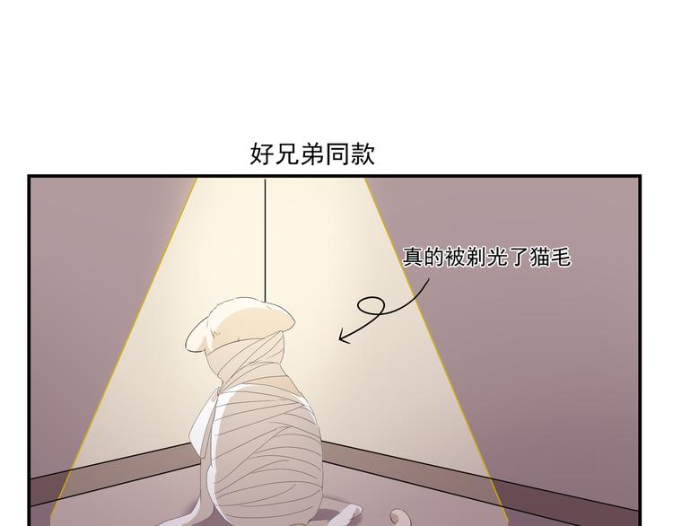 第434话 另一种享受6