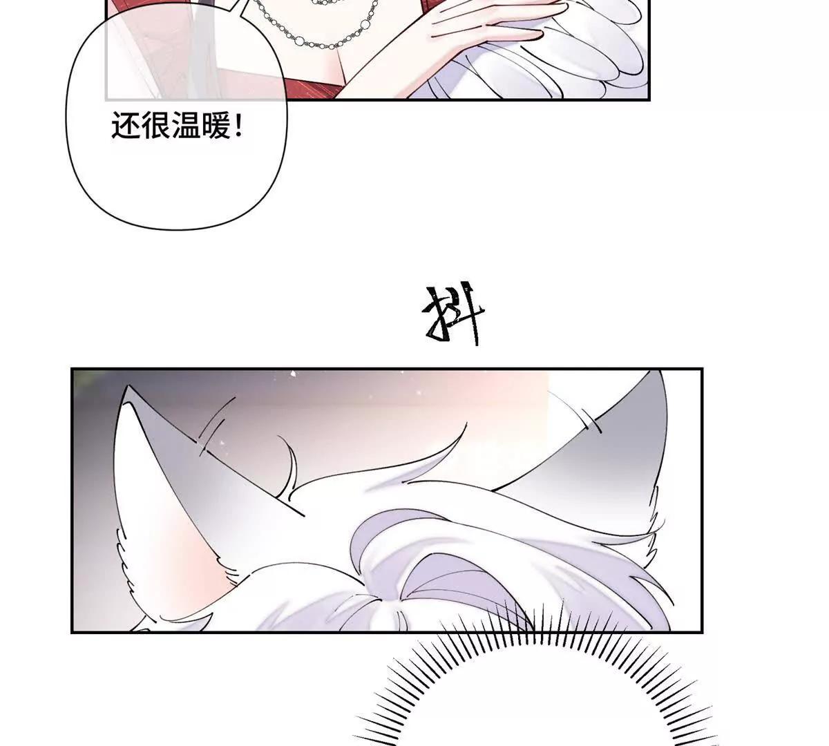 71 看看翅膀48