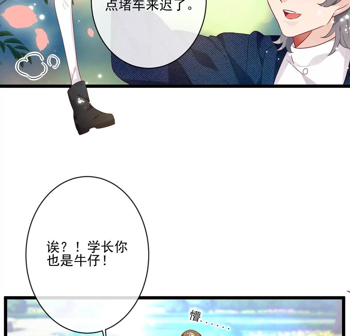 第25话 守得云开见月明12