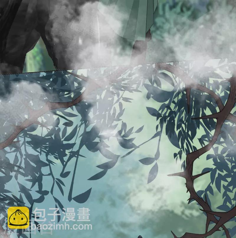 第272话 迷雾22