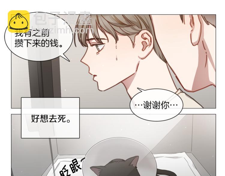 第16话 救喵心切58