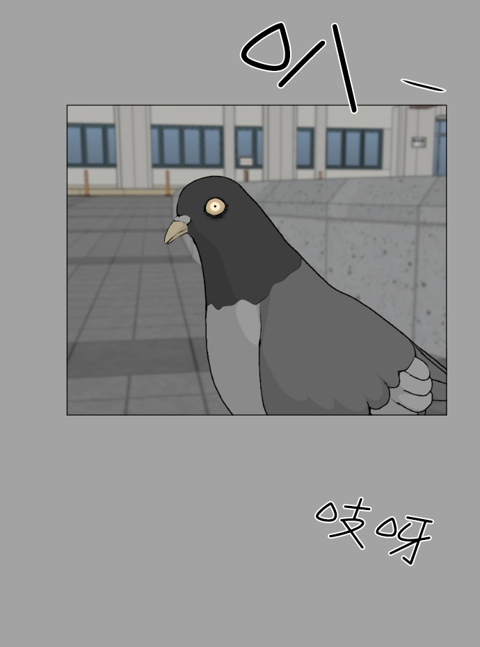 第51话34