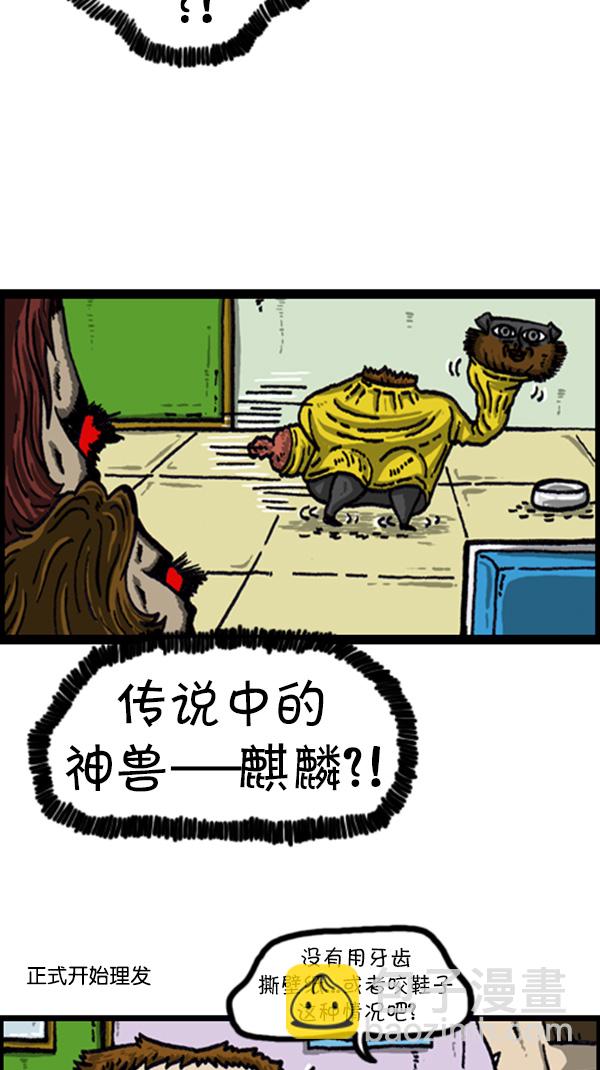 [第216话] 狗狗美容6